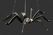 Schwing-Spinne